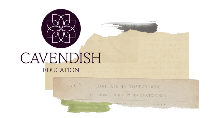 Shining a light on specialist education